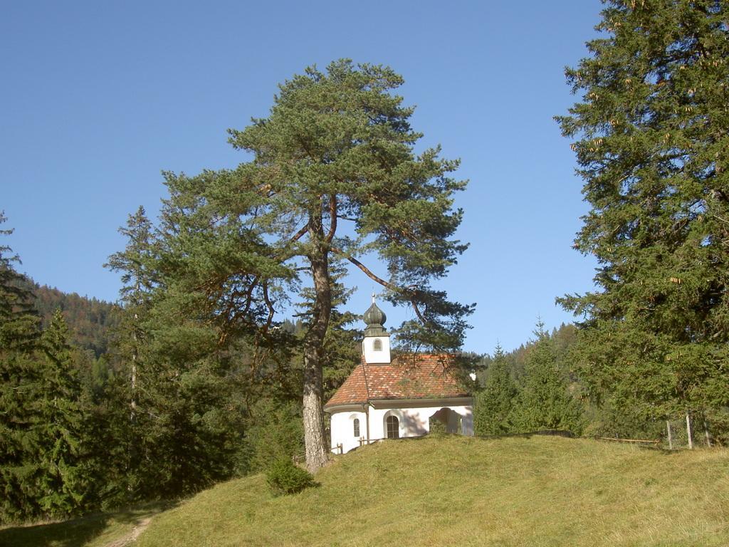 Appartementhaus Alpenrose ヴァルガウ エクステリア 写真