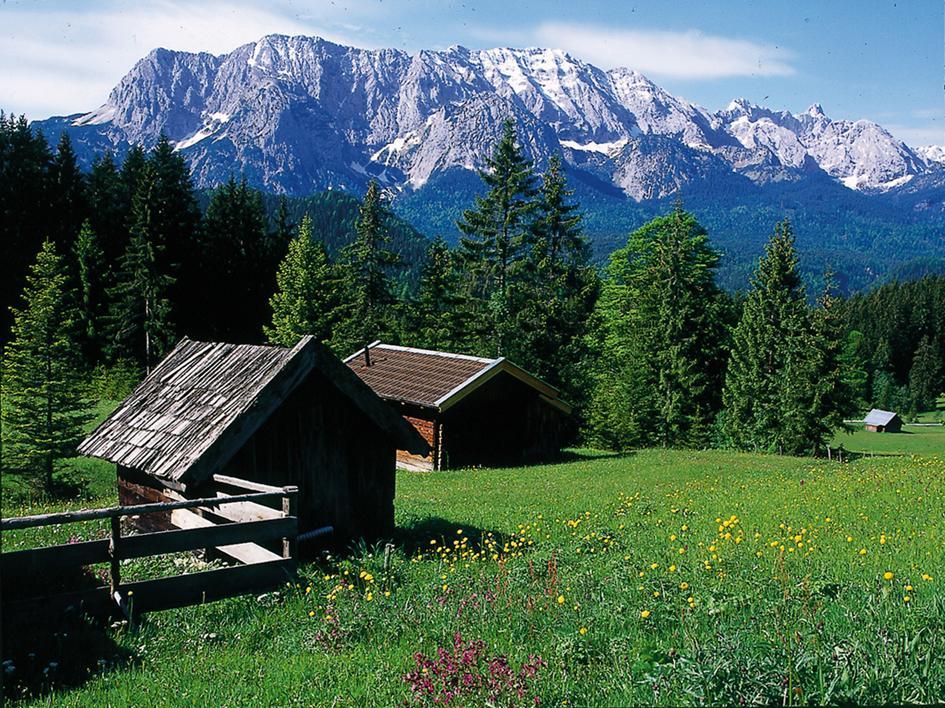 Appartementhaus Alpenrose ヴァルガウ エクステリア 写真